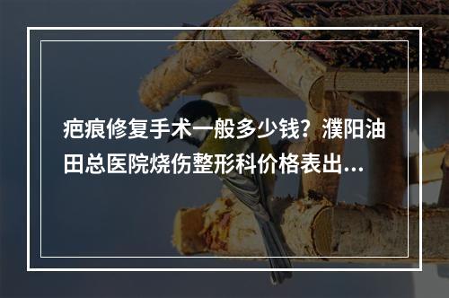 疤痕修复手术一般多少钱？濮阳油田总医院烧伤整形科价格表出炉，祛疤痕果