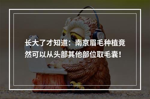 长大了才知道：南京眉毛种植竟然可以从头部其他部位取毛囊！