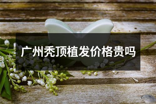 广州秃顶植发价格贵吗