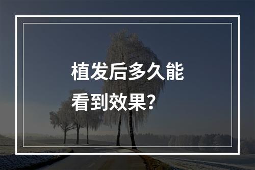 植发后多久能看到效果？