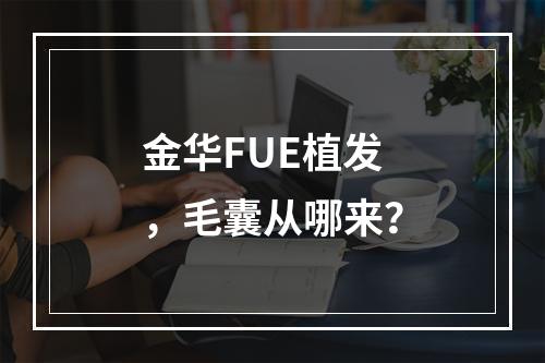 金华FUE植发，毛囊从哪来？