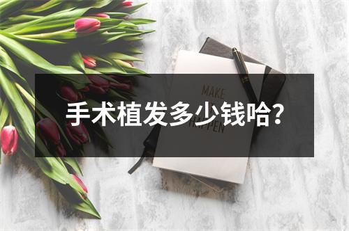 手术植发多少钱哈？