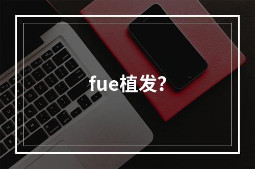 fue植发？