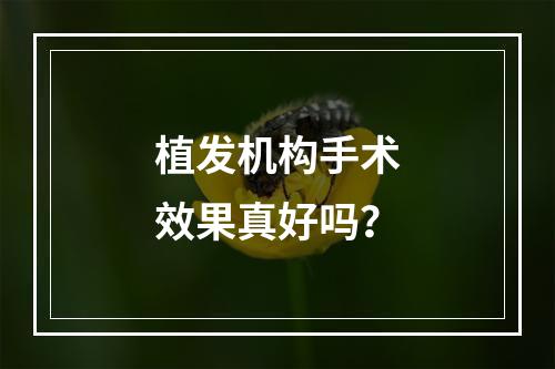 植发机构手术效果真好吗？