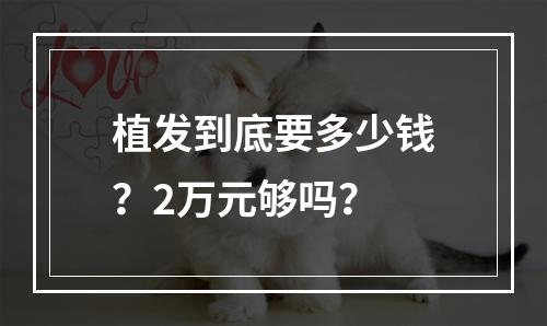 植发到底要多少钱？2万元够吗？