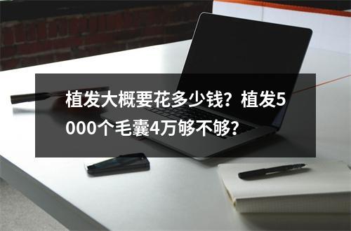 植发大概要花多少钱？植发5000个毛囊4万够不够？