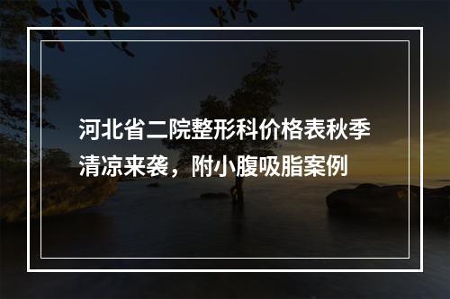 河北省二院整形科价格表秋季清凉来袭，附小腹吸脂案例