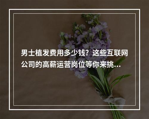 男士植发费用多少钱？这些互联网公司的高薪运营岗位等你来挑战