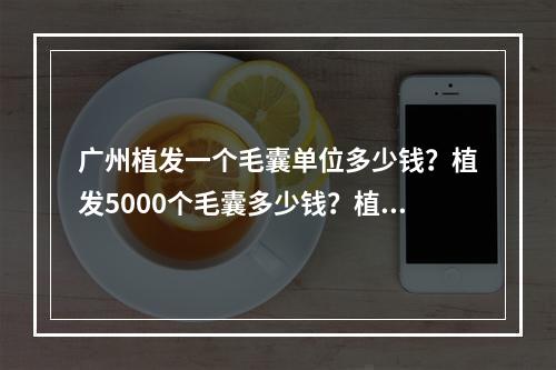 广州植发一个毛囊单位多少钱？植发5000个毛囊多少钱？植发效果能维持多久？