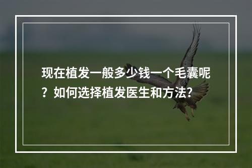 现在植发一般多少钱一个毛囊呢？如何选择植发医生和方法？