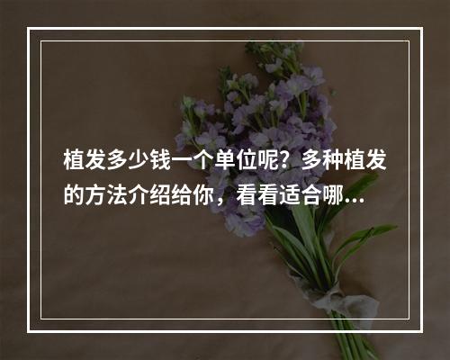 植发多少钱一个单位呢？多种植发的方法介绍给你，看看适合哪个！