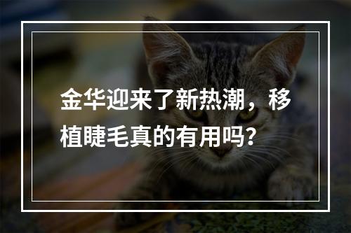 金华迎来了新热潮，移植睫毛真的有用吗？