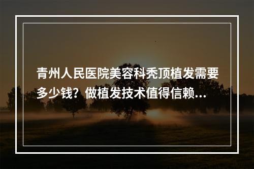 青州人民医院美容科秃顶植发需要多少钱？做植发技术值得信赖吗？