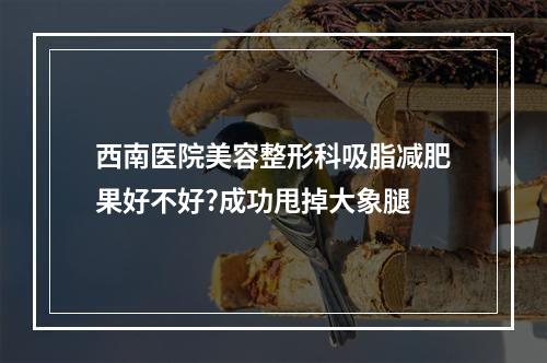 西南医院美容整形科吸脂减肥果好不好?成功甩掉大象腿