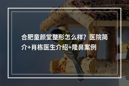 合肥童颜堂整形怎么样？医院简介+肖栋医生介绍+隆鼻案例