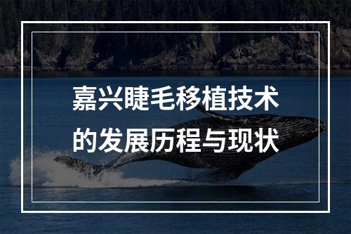 嘉兴睫毛移植技术的发展历程与现状