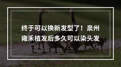 终于可以换新发型了！泉州雍禾植发后多久可以染头发