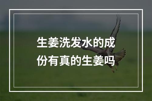 生姜洗发水的成份有真的生姜吗