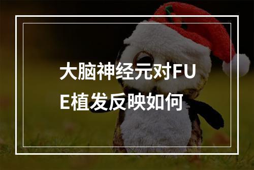 大脑神经元对FUE植发反映如何