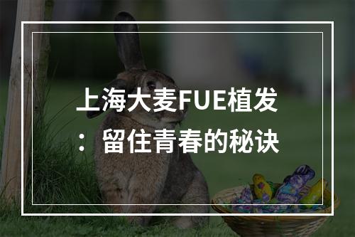 上海大麦FUE植发：留住青春的秘诀