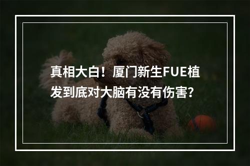 真相大白！厦门新生FUE植发到底对大脑有没有伤害？