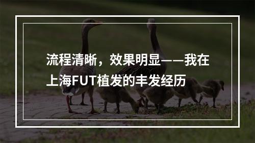 流程清晰，效果明显——我在上海FUT植发的丰发经历