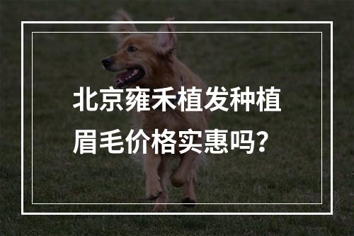 北京雍禾植发种植眉毛价格实惠吗？