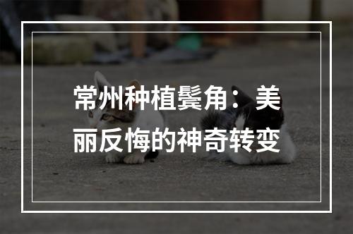 常州种植鬓角：美丽反悔的神奇转变