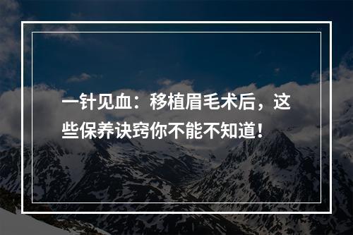 一针见血：移植眉毛术后，这些保养诀窍你不能不知道！