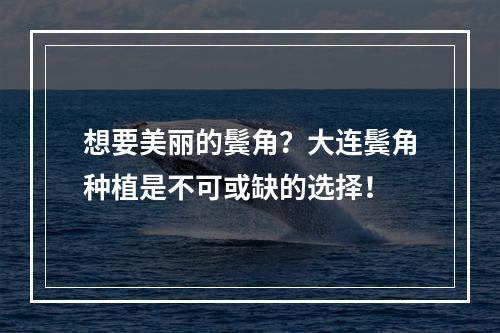 想要美丽的鬓角？大连鬓角种植是不可或缺的选择！