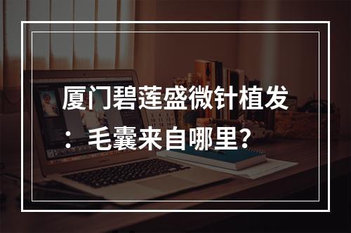 厦门碧莲盛微针植发：毛囊来自哪里？