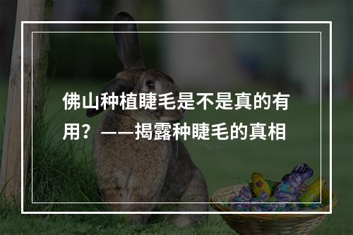 佛山种植睫毛是不是真的有用？——揭露种睫毛的真相