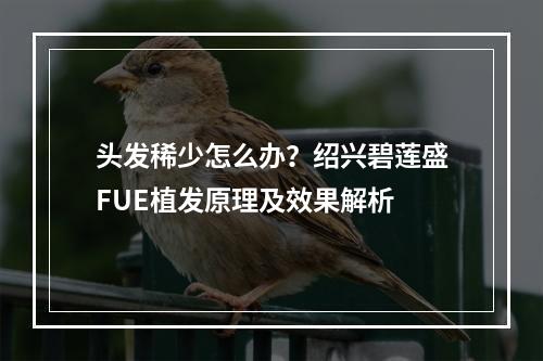 头发稀少怎么办？绍兴碧莲盛FUE植发原理及效果解析