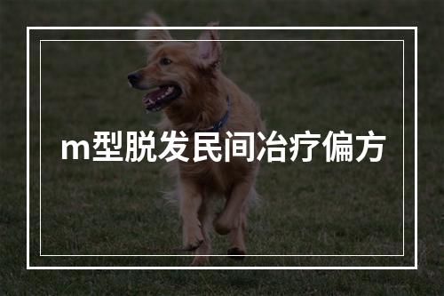 m型脱发民间冶疗偏方