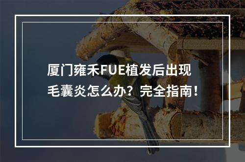 厦门雍禾FUE植发后出现毛囊炎怎么办？完全指南！