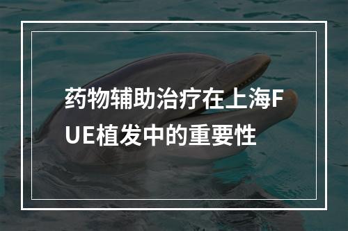 药物辅助治疗在上海FUE植发中的重要性