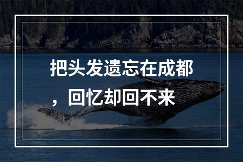 把头发遗忘在成都，回忆却回不来