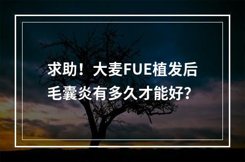 求助！大麦FUE植发后毛囊炎有多久才能好？