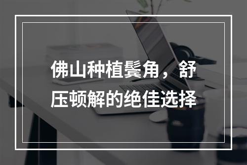 佛山种植鬓角，舒压顿解的绝佳选择