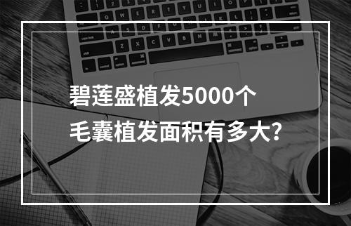 碧莲盛植发5000个毛囊植发面积有多大？