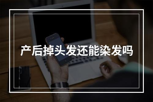 产后掉头发还能染发吗