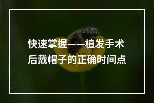 快速掌握——植发手术后戴帽子的正确时间点