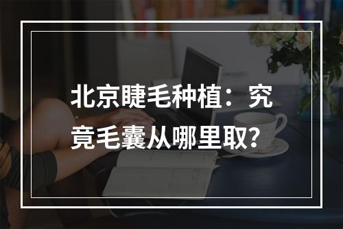 北京睫毛种植：究竟毛囊从哪里取？