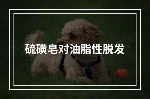 硫磺皂对油脂性脱发