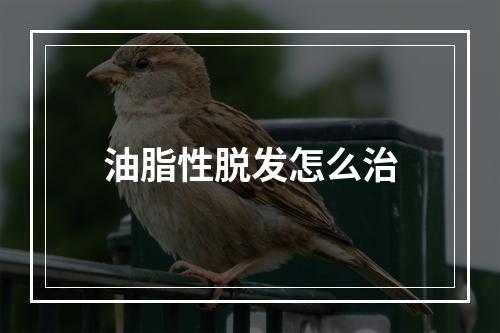 油脂性脱发怎么治