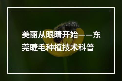 美丽从眼睛开始——东莞睫毛种植技术科普