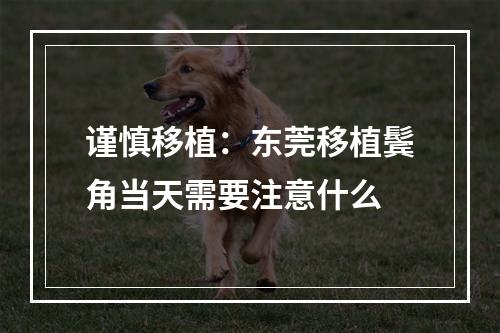 谨慎移植：东莞移植鬓角当天需要注意什么