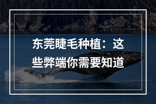 东莞睫毛种植：这些弊端你需要知道