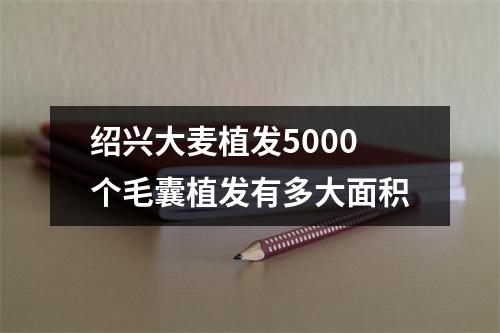 绍兴大麦植发5000个毛囊植发有多大面积