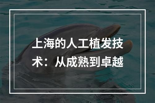 上海的人工植发技术：从成熟到卓越